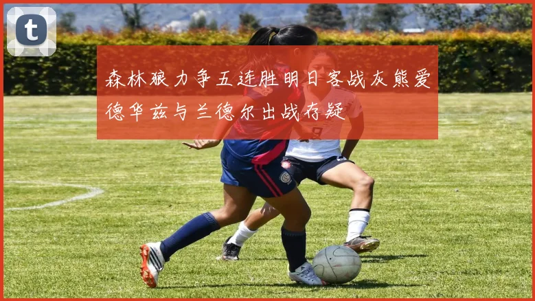 森林狼力争五连胜明日客战灰熊爱德华兹与兰德尔出战存疑
