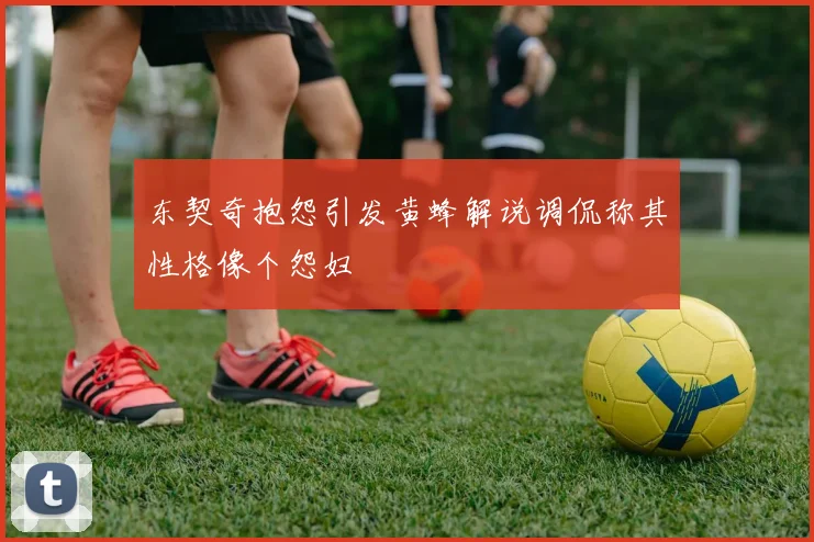 东契奇抱怨引发黄蜂解说调侃称其性格像个怨妇